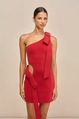 BLENDIE KNIT DRESS - MERLOT