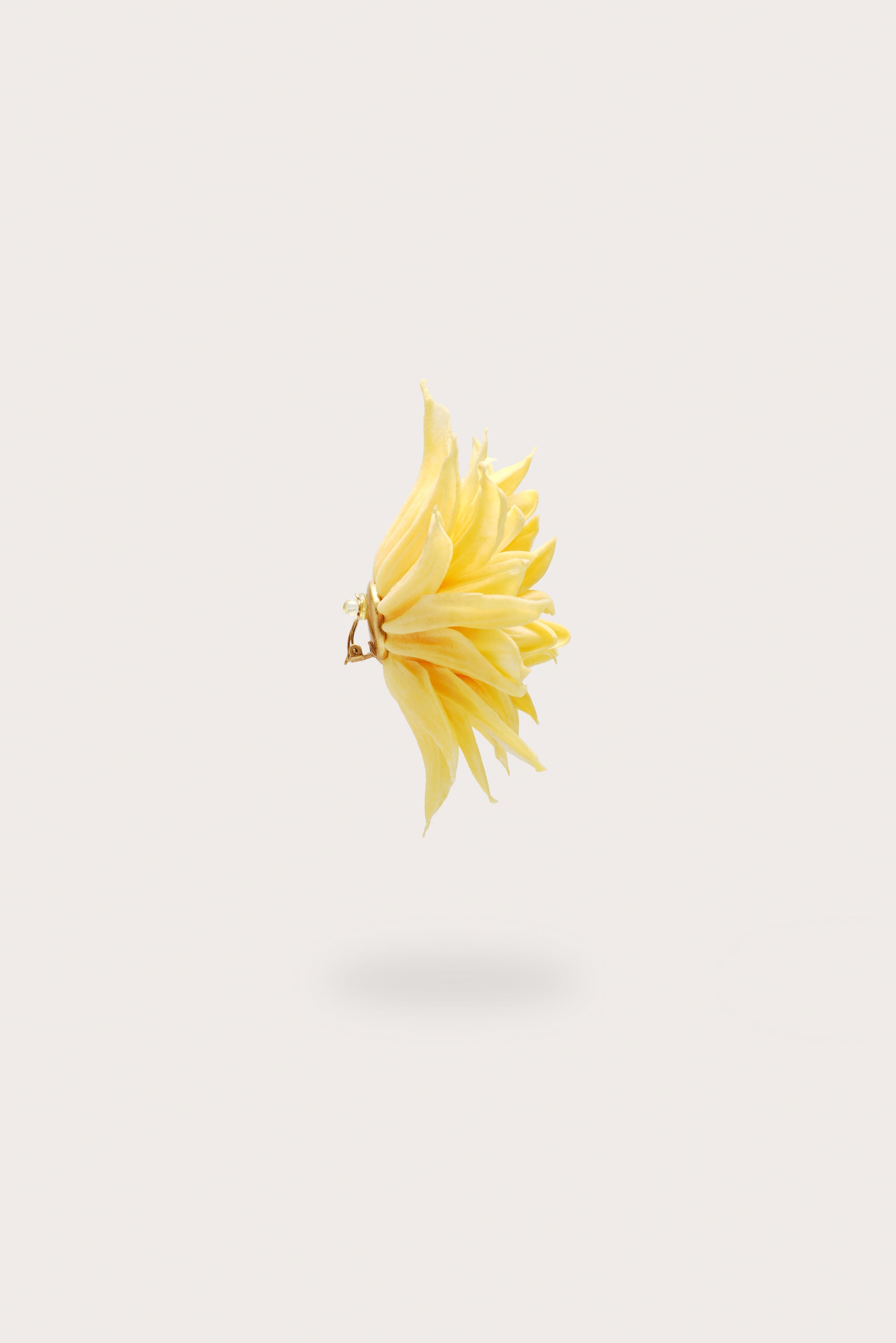 DAHLIA EARRING - CORNSILK